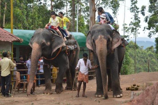 Kumaran Kudil - New Family Vl Bodinayakkanur, Theni Homestay *